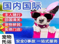 黔南荔波航空快运国际宠物托运 【国